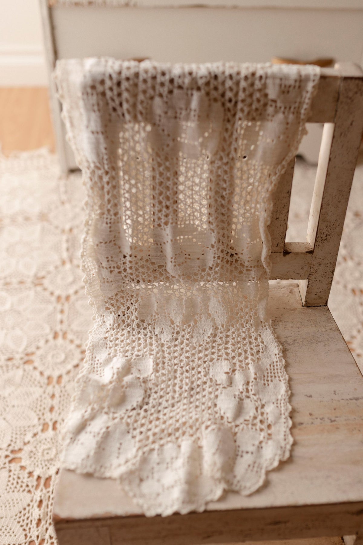 Daisies Collection