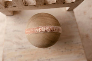 Peach Bow on Velvet