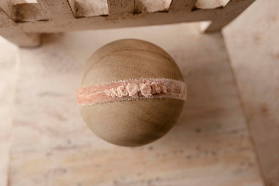 Peach Bow on Velvet