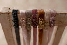 Load image into Gallery viewer, The Velvet Petals Collection
